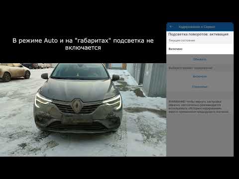 Включение скрытых функций Renault Arkana