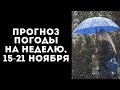 В УКРАИНУ ИДУТ МОРОЗЫ ДО -11 ГРАДУСОВ И ПЕРВЫЙ СНЕГ: КАКИМ ОБЛАСТЯМ ГОТОВИТЬСЯ