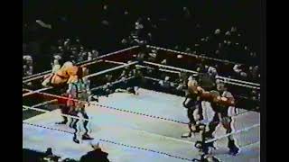 Yokozuna, Jake Roberts, George Steele vs Owen Hart, British Bulldog, Jim Cornette - WWF Fan Cam 1996