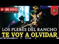 Los Plebes del Rancho | Te Voy a Olvidar - En vivo 2017