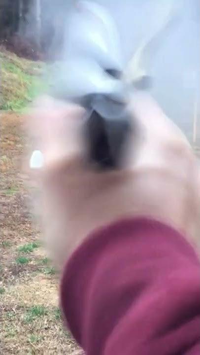Springfield EMP4 pov