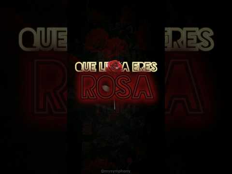 Rosa Que Linda Eres Music Alibi Rosaquelindaeres Lyric Lyrics Fy Fyp Fypシ Musica Tiktok