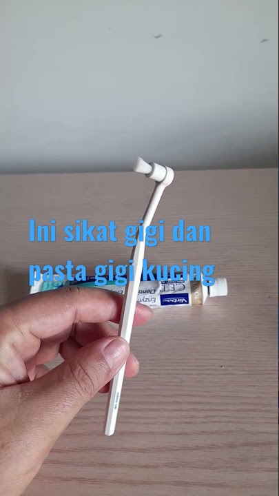 Ini sikat gigi dan pasta gigi kucing #SHORT