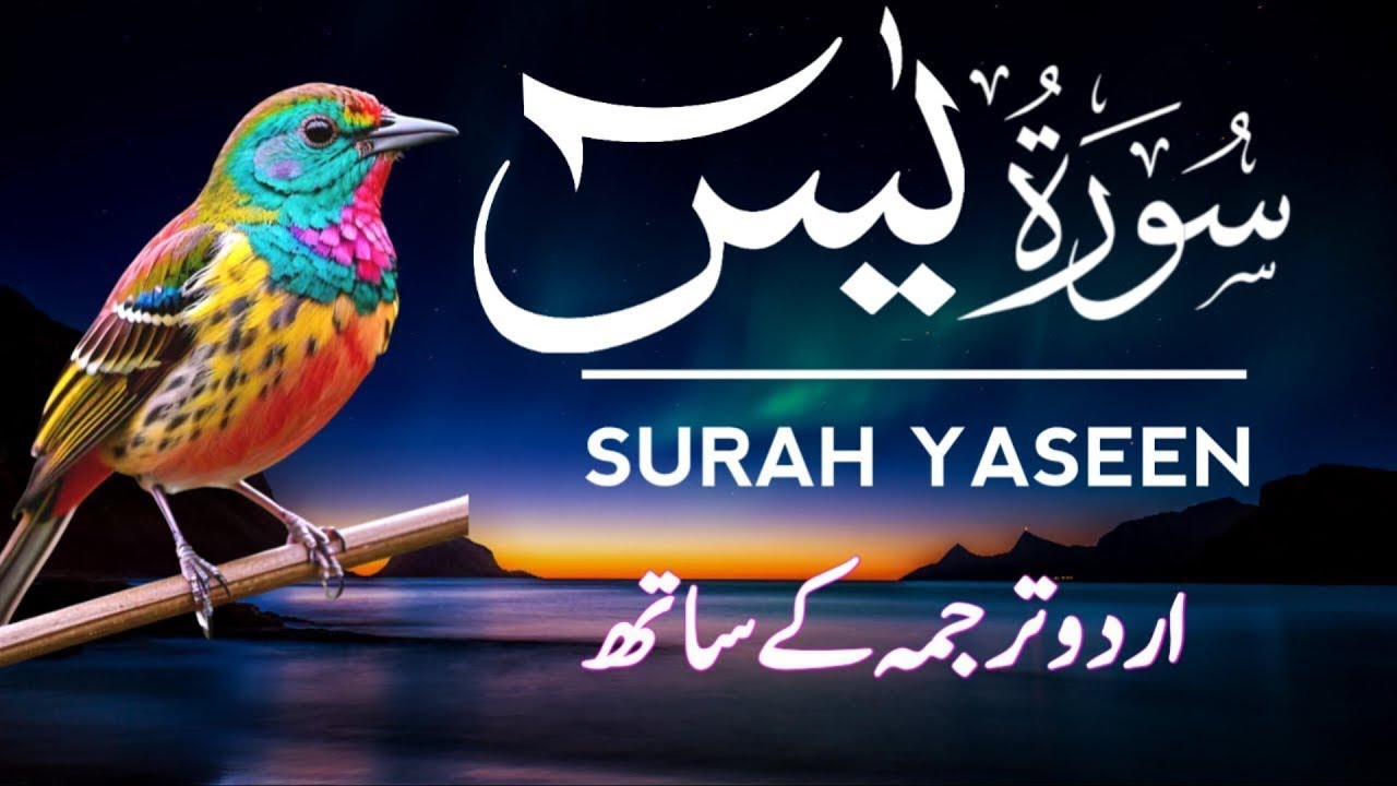 Surah Yaseen | Surah Yaseen With Urdu Translation | Al Furqan Studio | Ep011