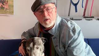 When Lola The Staffie Met Peter Egan