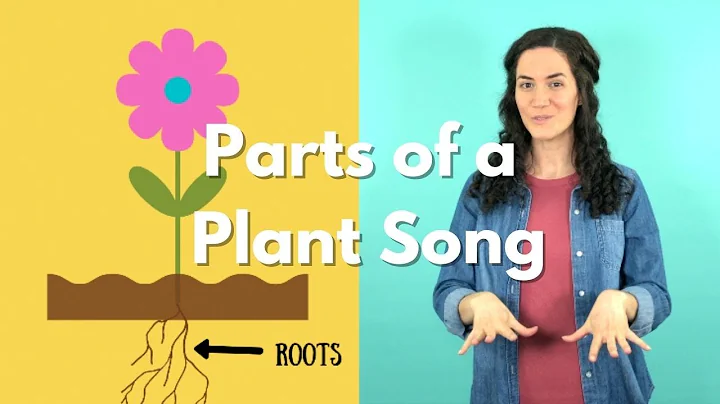 Roots, Stem, Leaves, Flower | Parts of a Plant Song | Parts of a Flower Song - DayDayNews