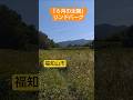 【朝の音楽】LINDBERGさんの「6月の太陽」です。京都府福知山市の田園風景です。