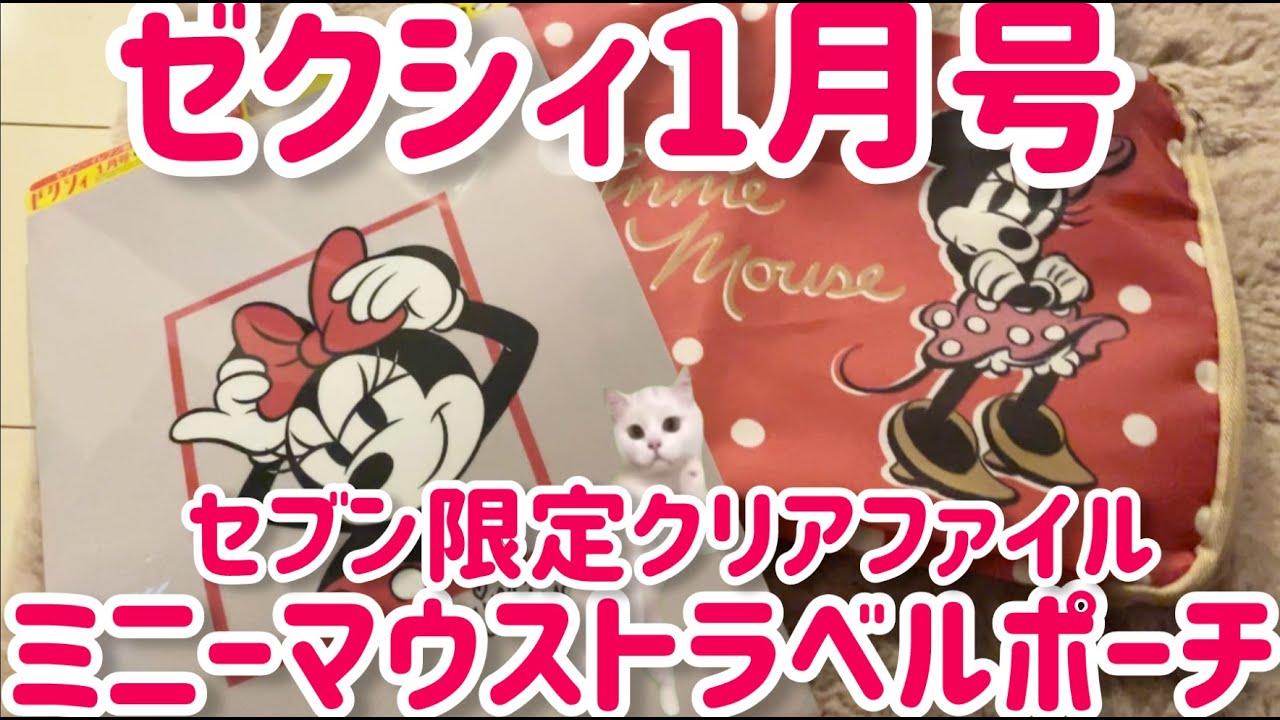 猫ミーム】 ゼクシィ 1月号 特別付録 ミニーマウストラベルポーチ