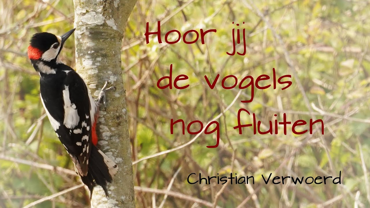Hoor Je De Vogels Nog Fluiten