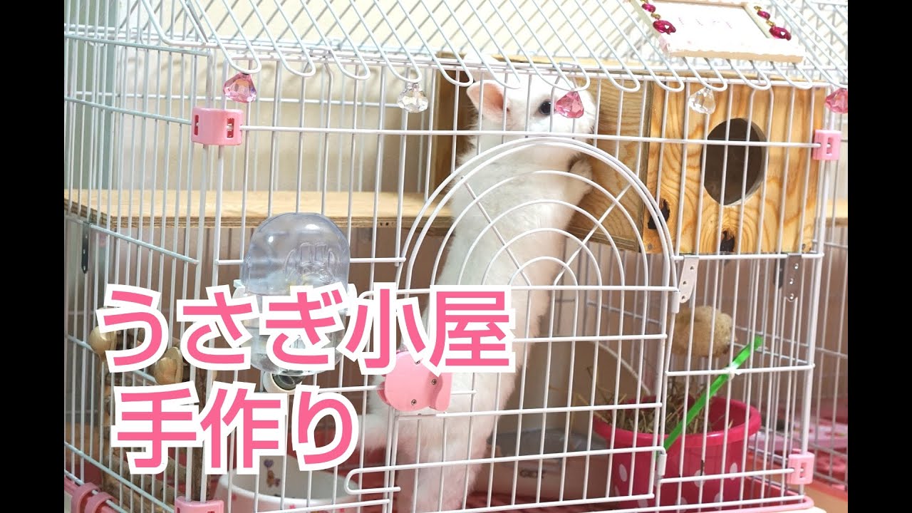 うさぎ小屋作り Youtube