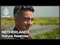 Nieuwe eilanden gebouwd in nederland als natuurgebieden