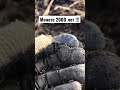 Нашёл монету Римской Империи 🥳 ( Динарий)