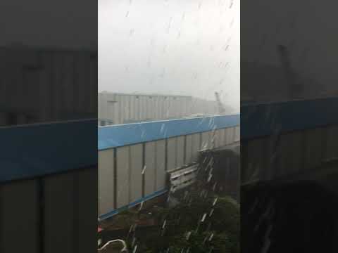 Video: Orai ir klimatas Goa