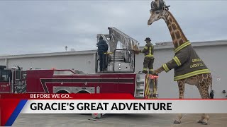 Gracie's Great Adventure