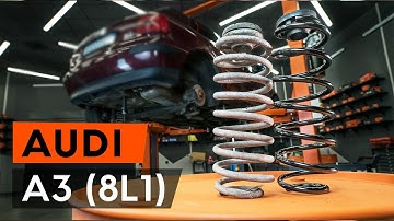 How to change rear springs / rear coil springs on AUDI A3 1 (8L1) [TUTORIAL AUTODOC]