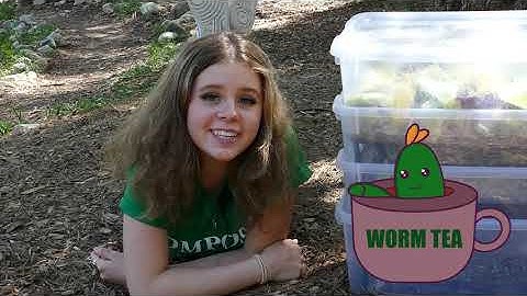 Composting 101 Video #4 (Worm Composting!)