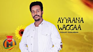 Sisaay Dhaabaa - Ayyaana Waggaa - New Ethiopian Oromo Music (Official Video)
