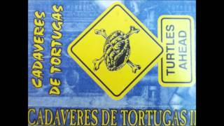 CADAVERES DE TORTUGAS-Negative Forces