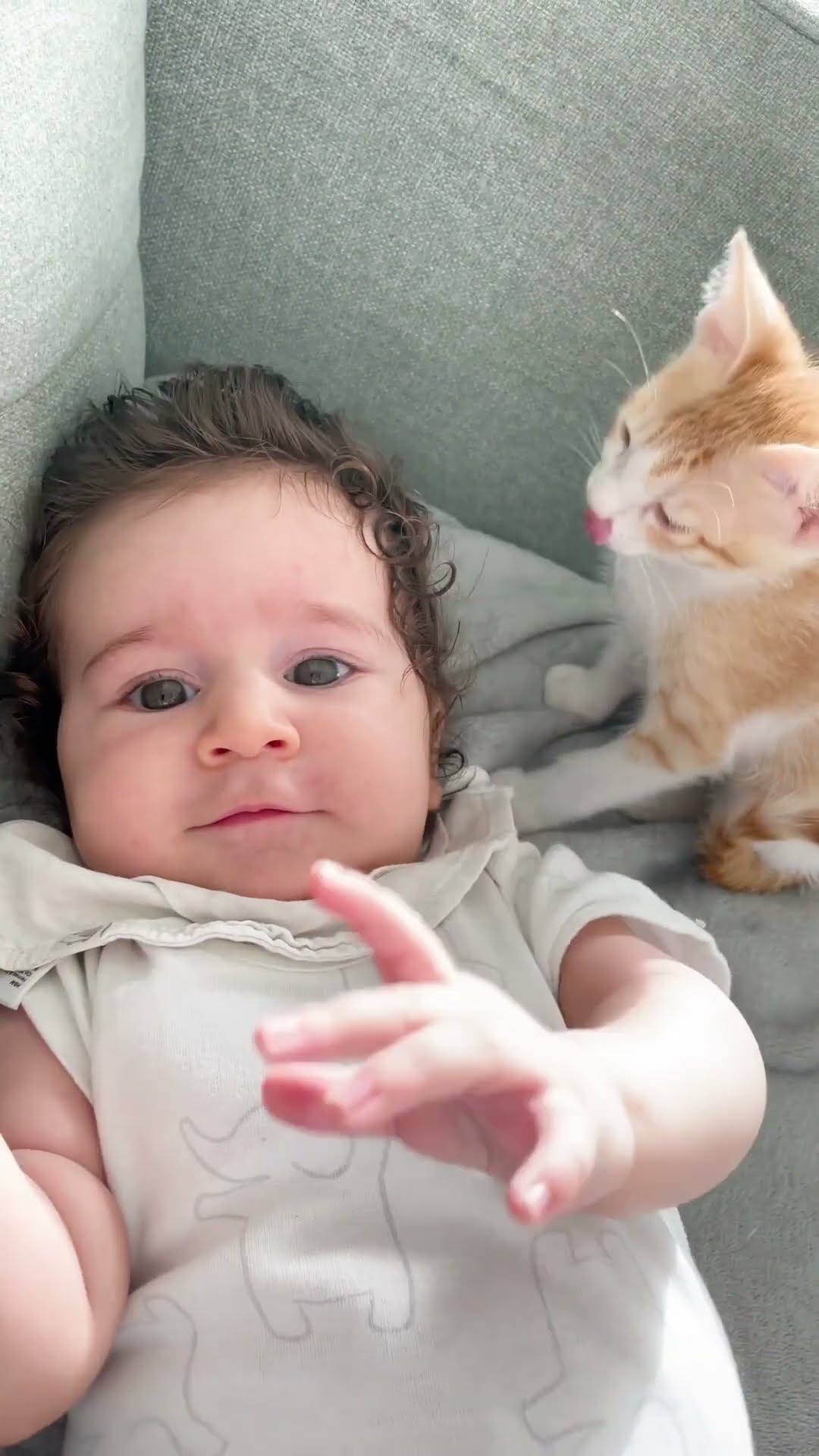Baby Falls In Love With Rescue Kittens | The Dodo