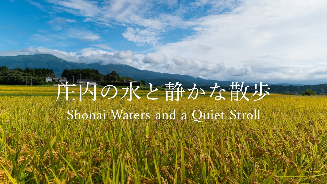 【庄内一人旅】庄内の水と静かな散歩　Shonai Waters and a Quiet Stroll