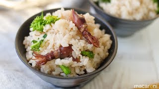 とことん春味！うま味引き立つ 菜の花と ホタルイカの 炊き込みご飯 のレシピ 作り方