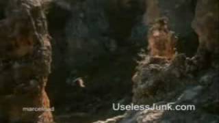 Golden Eagle KiLLs GoaTs