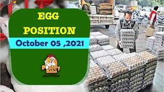 Egg rate position 05  October  - 2021 - Daily egg rates Poultry rates Egg business in Pakistan