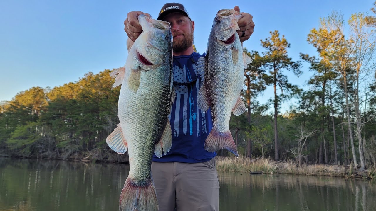 Santee Cooper bass fishing Day 1. This place is awesome YouTube