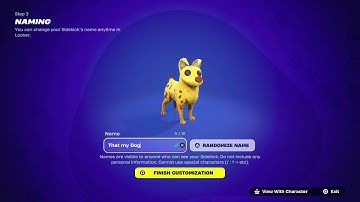 How to CUSTOMIZE Your SIDEKICKS in Fortnite! (EASY FULL Tutorial + Tips)