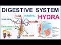 Understanding Hydra