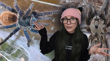 ATTENTION NEW TARANTULA KEEPERS! Do