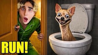 Famous RUN! THIS IS NOT A NORMAL DOG 😱 Net Worth