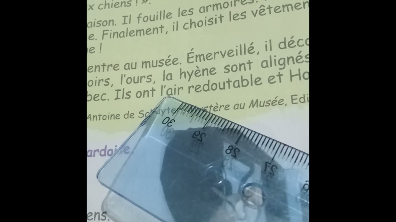 Au musée des animaux 5AP