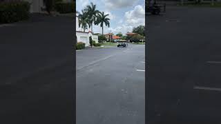 Bruno In The Golf Cart 0429