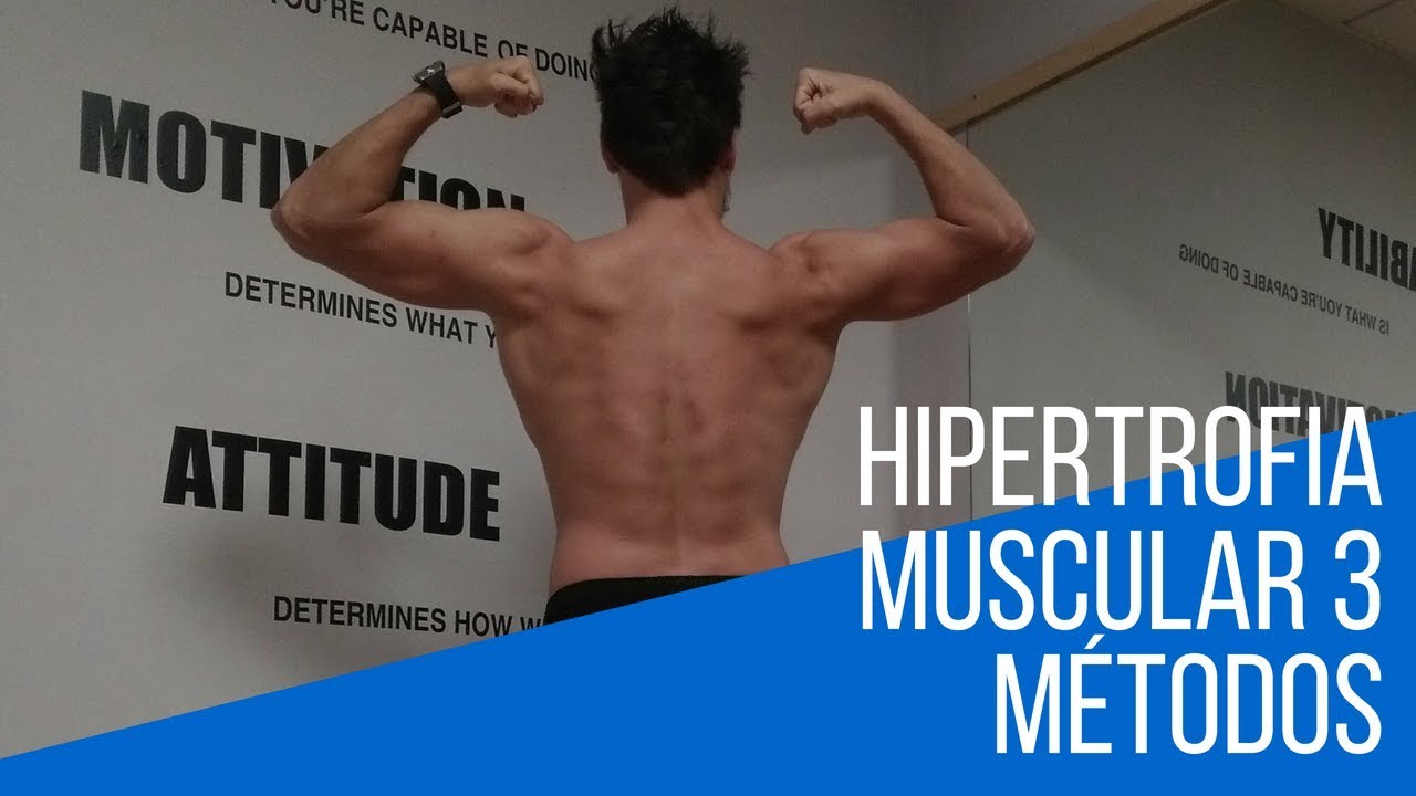 3 METODOS PARA HIPERTROFIA MUSCULAR camera iphone 8 plus apk