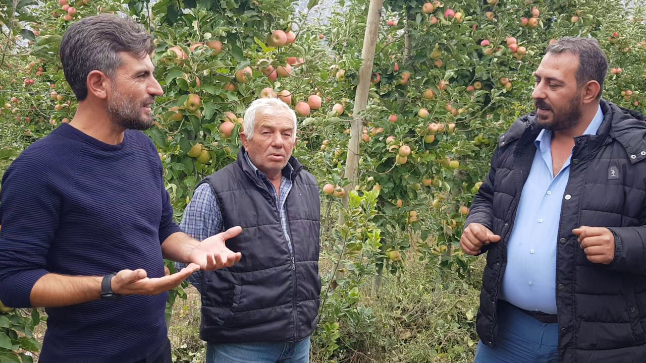 ELMA AĞACINDA GÜBRELEME NEDEN ÖNEMLİDİR?