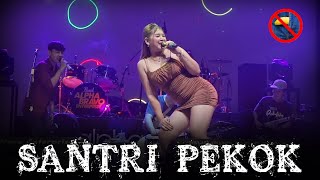 BICENG❗❗ DHENOG RAHMA COVER SANTRI PEKOK BARENG OM BOLODEWO