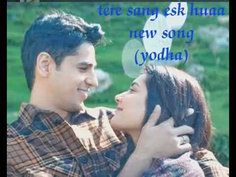 YODHA: Tere Sang Ishq Hua (Song) Sidharth Malhotra, Raashii Khanna | Arijit Singh,Neeti, Tanishk B❤️