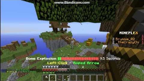 Mineplex Hacker Report #1