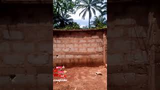POWERFUL SUPERMAN #everyone #viral #viralshorts