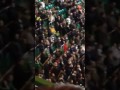 Celtic vs Aberdeen- Green Brigade