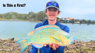 Sunshine Coast Canal Fishing | PARROT FISH!