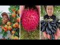 Farm Fresh Ninja Fruit Cutting | Oddly Satisfying Fruit Ninja #16