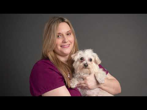 Pets and People Head Shots
