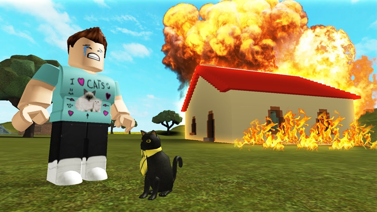 SIR MEOWS A LOT PRANKED DENIS!