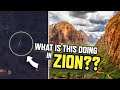 I found this mysterious object in zion national park