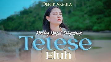 Denik Armila - TETESE ELUH   ||   Kendang Kempul Banyuwangi ~ Official Music Video