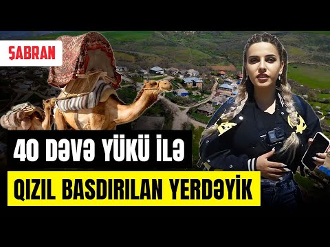 Biznesmen çobanın olduğu, tarixi abidələrlə zəngin Şabran - KƏNDİNƏ QAYIT