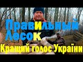 Зашли в правильный лесок ! Коп в Лесу зимой !