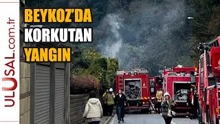 İstanbul Beykoz'da korkutan yangın